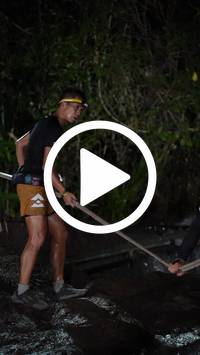 BIB:  <button type="button" onclick="openModal(27708688)" class="btn btn-primary btn-sm float-right" data-toggle="modal" data-target=".modal-high-quality">
                <i class="fa fa-download"></i> Download
                </button>